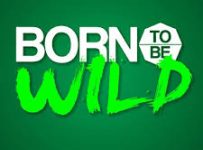 Born To Be Wild June 1 2025