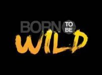 Born To Be Wild June 15 2025